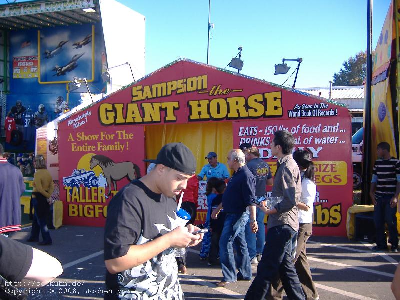 [giant horse]